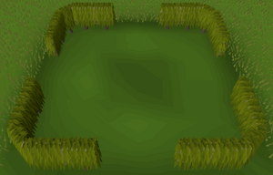 Tall box hedge built.png